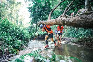 BIB: 
                            <button type="button" onclick="openModal(25439133)" class="btn btn-primary btn-sm float-right btn-popup" data-toggle="modal" data-target=".modal-high-quality">
                        <i class="fas fa-shopping-cart"></i> Add to Cart
                    </button>
                                            <button type="button" onclick="isThisMe(25439133, true)" class="btn btn-success btn-sm float-right btn-popup btn-isme hidden" data-toggle="tooltip" data-placement="bottom" title="นี่คือรูปของคุณใช่ไหม คลิกที่นี่เพื่อเอาเข้าอัลบั้ม">
                        <i class="fas fa-plus"></i> Add to album
                    </button>
                    <button type="button" onclick="isThisMe(25439133, false)" class="btn btn-warning btn-sm float-right btn-popup btn-isnotme hidden">
                        <i class="fas fa-ban"></i> Remove from album
                    </button>